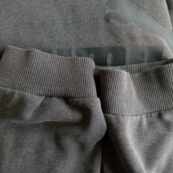 Puma Hoodie, Charcoal with Shadow Logo - Picture 5 of 5